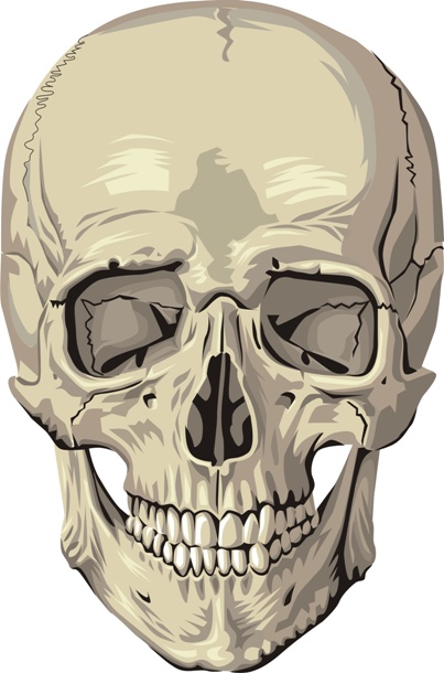 Zdjęcie czaszki